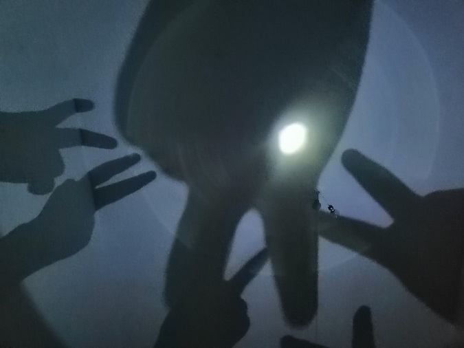 06.jpg