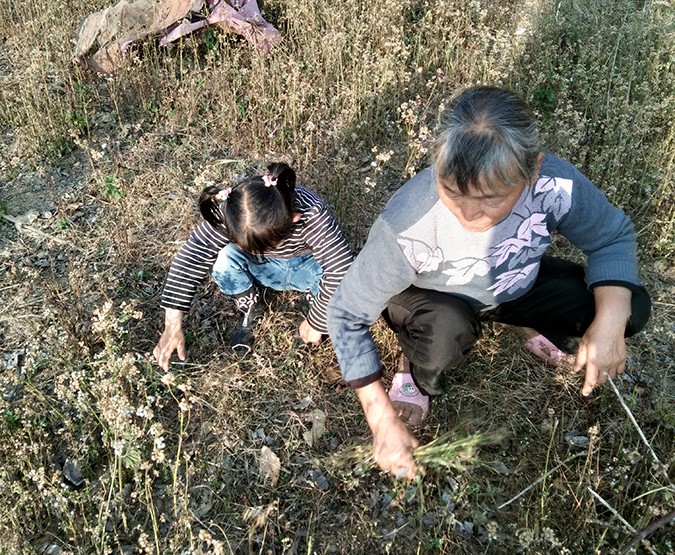 06.jpg