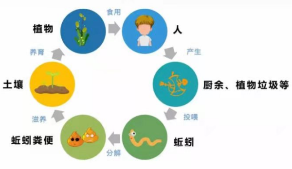 图片5(1).png