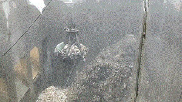 11.gif