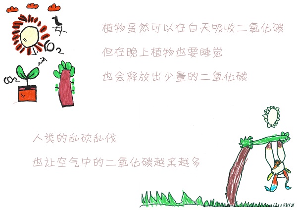 WEEK 41 昆明市新迎第三幼儿园大一班《我们的环保绘本》_页面_14.jpg