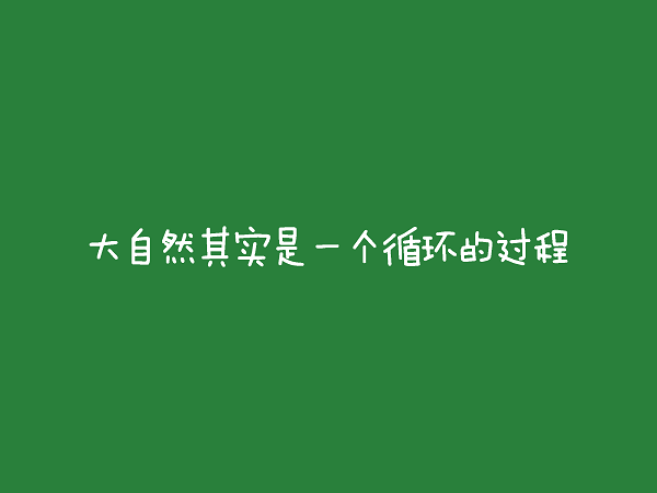 WEEK 43《小学示范班优秀海报集》_页面_18.png