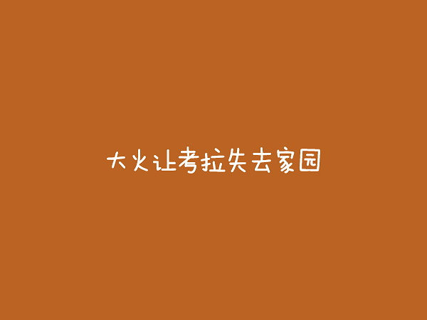 WEEK 43《小学示范班优秀海报集》_页面_56.png