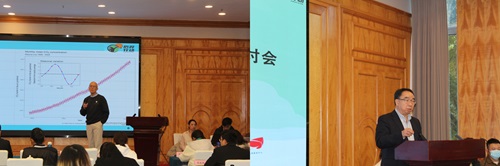 拼图2.jpg