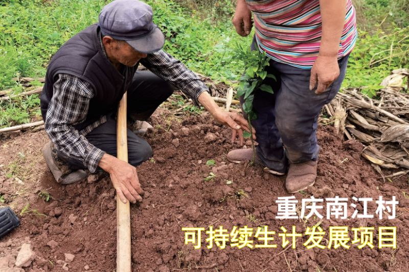 微信图片_20240227160811.png