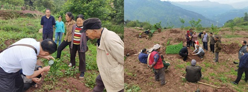 下载 (8).jpg